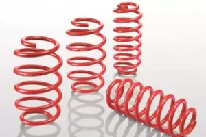 Image of EIBACH Suspension Kit, coil springs E20-85-014-02-22 VW,Golf V Schragheck (1K1),GOLF VI (5K1)