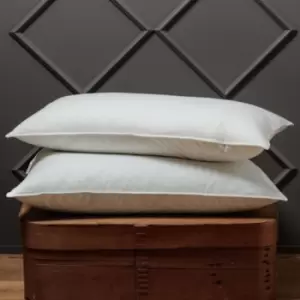 Image of Canadian White Snow Goose Feather And Down Surround Pillow - Die Zudecke