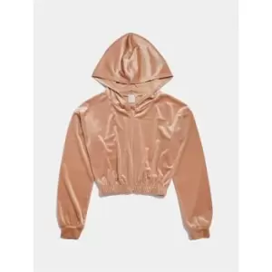 Image of Skinny Dip Velvet Crop Hoodie - Brown