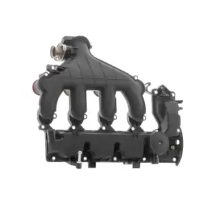 Image of DR.MOTOR AUTOMOTIVE Inlet Manifold DRM16911 Intake Manifold,Air Intake Manifold FORD,FIAT,PEUGEOT,Focus II Schragheck (DA_, HCP, DP)