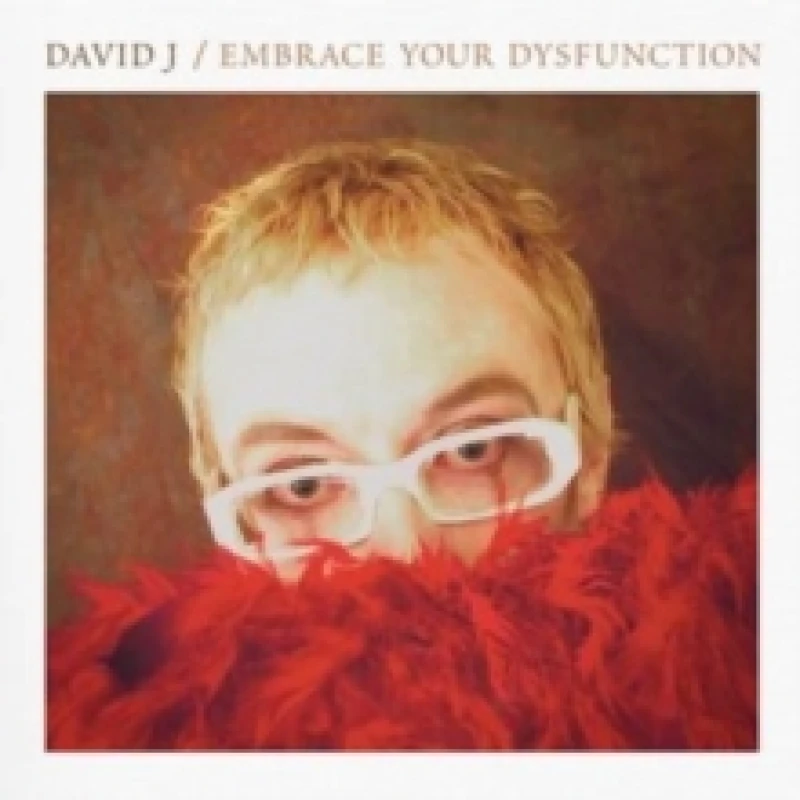 Image of Embrace Your Dysfunction CD / Album