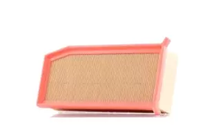 Image of FILTRON Air filter RENAULT,DACIA AP 133/5 165467674R,165469843R Engine air filter,Engine filter