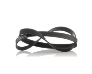 Image of RIDEX V-ribbed belt OPEL,RENAULT,PEUGEOT 305P0065 1340015,55567558,55567559 55567560,55567561,55573160,5750QL,5750QN,3701011EG01B,2521204531,1340011
