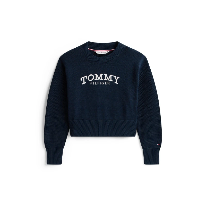 Image of Tommy Hilfiger Kids Knitted Crew Neck Jumper Night Navy C1G female 12Y