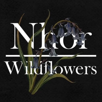 Image of Nhor - Wildflowers Vinyl