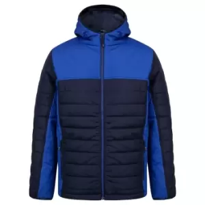 Image of Finden & Hales Mens Contrast Padded Jacket (M) (Navy/Royal Blue)