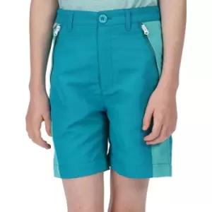 Image of Regatta Boys Sorcer Mountain II Quick Drying Summer Shorts 9-10 Years - Waist 61-64cm (Height 135-140cm)