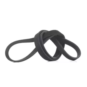 Image of RIDEX V-ribbed belt 305P0460 Serpentine belt,Auxiliary belt BMW,5 Touring (F11),5 Limousine (F10),X5 (E70),7 (F01, F02, F03, F04),5 GT (F07)