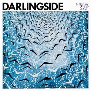 Image of Darlingside - Birds Say Vinyl