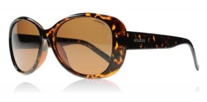 Image of Polaroid PLD4014/S Sunglasses Havana V08 Polariserade 57mm