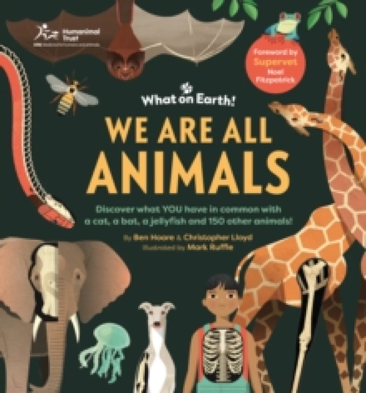 Image of We are All Animals : Discover what YOU have in common with a cat, a bat, a jellyfish and 150 other animals! Hardback