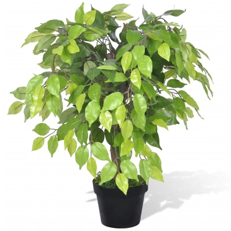 Image of Artificial Dwarf Ficus with Pot 60 cm