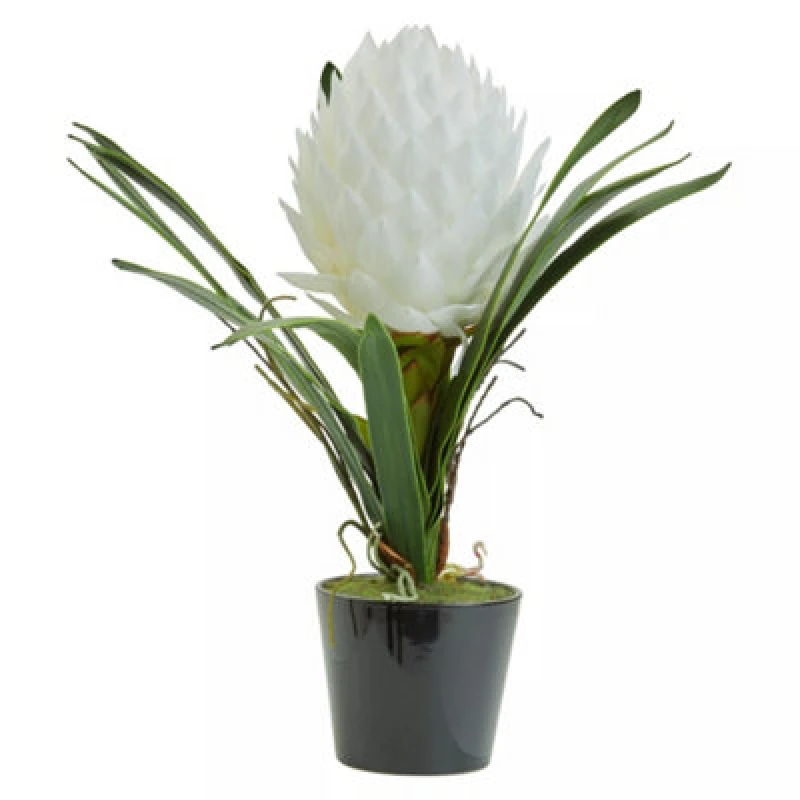 Image of Premier Housewares Fiori White Tropical Plant, Faux White Tropical Plant Black