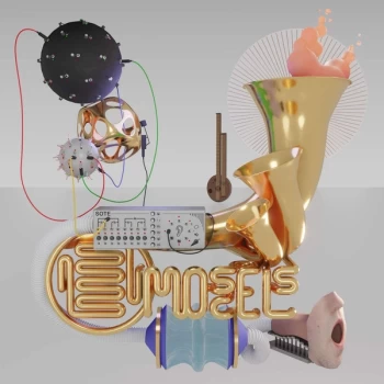 Image of Sote - Moscels Vinyl