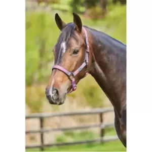 Image of Weatherbeeta Ombre Headcollar - Purple