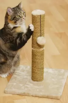 Image of Cat Scratcher