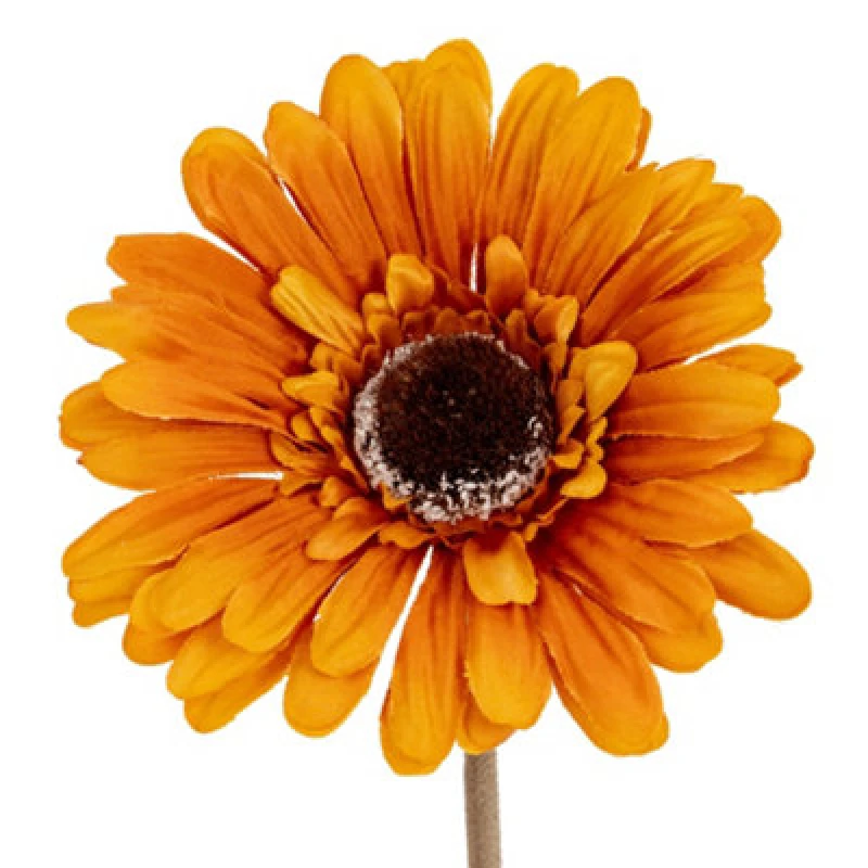 Image of Hill Interiors Soft Gerbera Gerbera Artificial Flower Yellow (One Size)