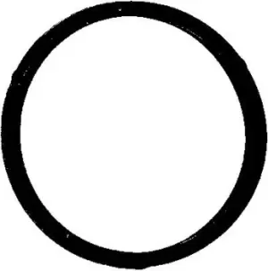 Image of Thermostat Gasket 447.260 by Elring