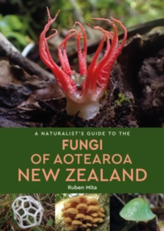 Image of A Naturalist's Guide to the Fungi of Aotearoa New Zealand Paperback / softback