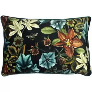 Image of Evans Lichfield - Midnight Garden Aquilegia Piped Edge Cushion Cover, Teal, 40 x 60 Cm