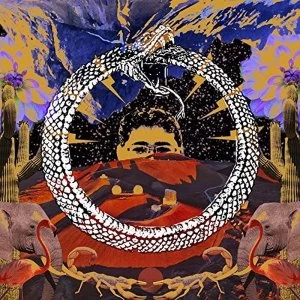 Image of Stone House On Fire - Neverending Cycle Vinyl