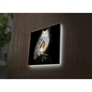 Image of 2828DACT-53 Multicolor Decorative LED Lighted Canvas Painting