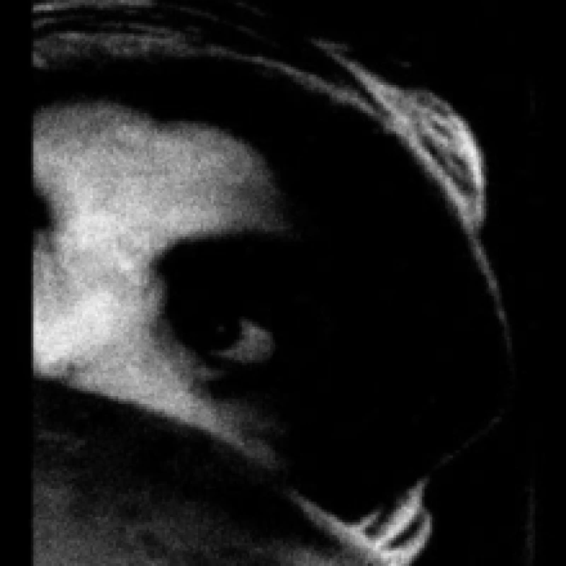 Image of The Crying Out of Things Vinyl