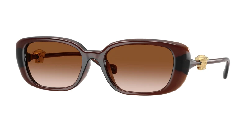 Image of Versace Woman Versace VE4504D 533213 Sunglasses Injected Brown Brown Pillow Normal Nuanced Brown Sunglasses Woman Injected
