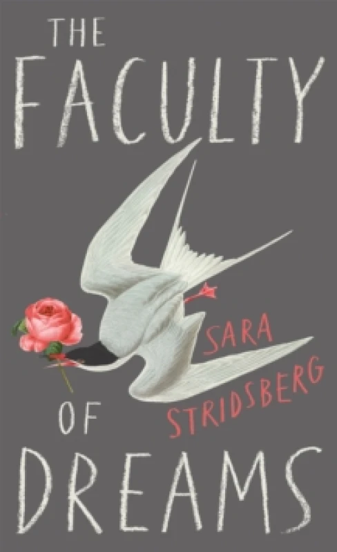 Image of The Faculty of Dreams. Paperback. By Sara Stridsberg Books