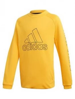 Image of Adidas Boys Training Sweat Crew - Yellow