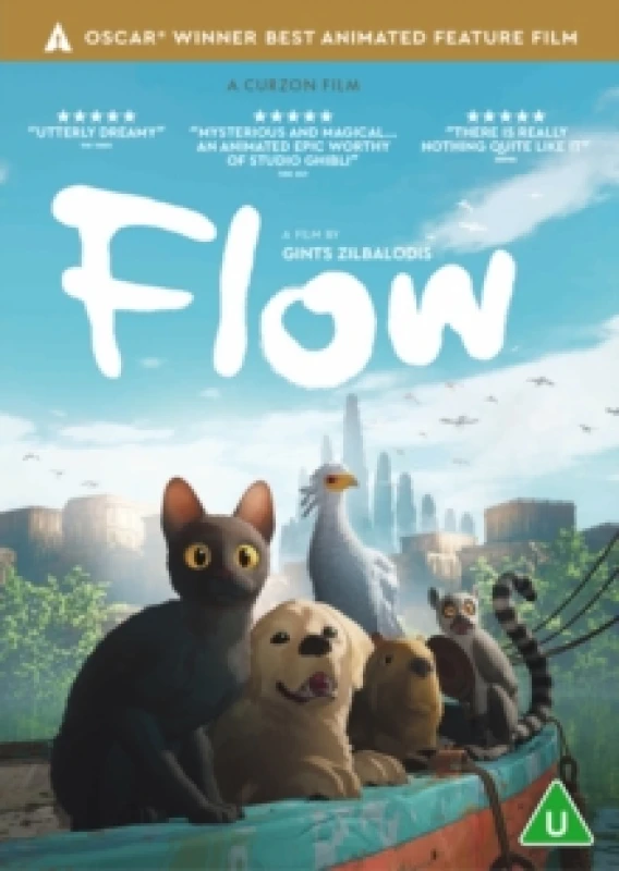 Image of Flow DVD