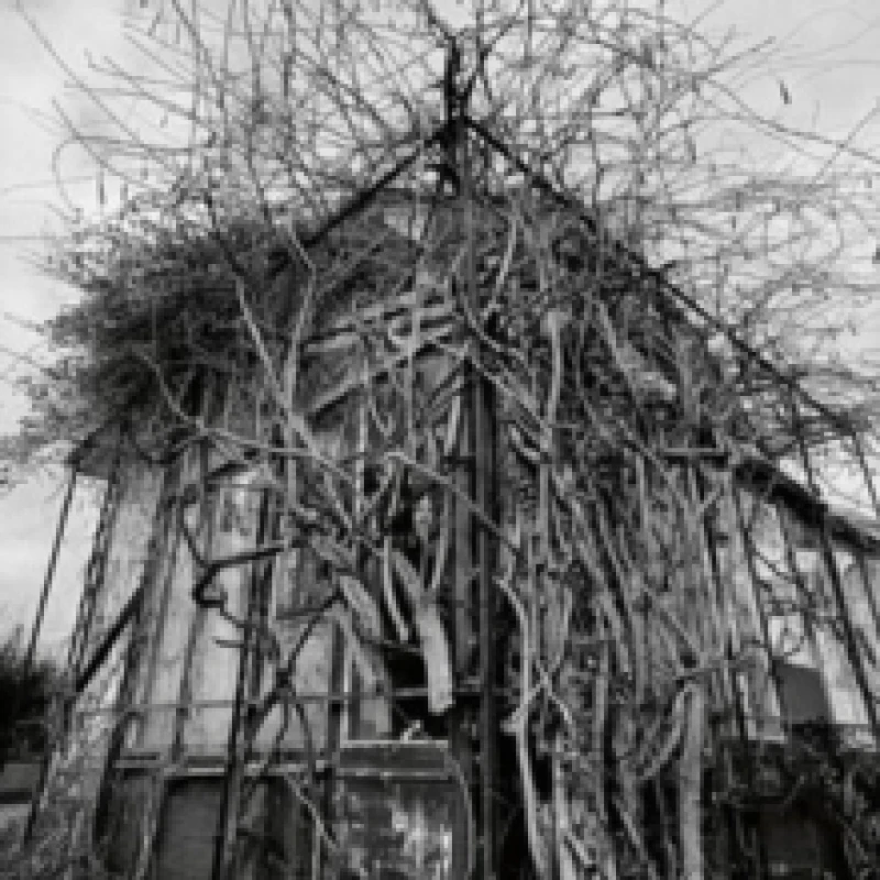 Image of Dead decades Vinyl