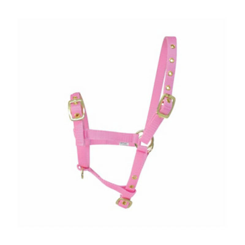 Image of Hy Foal Head Collar Pink (One Size)