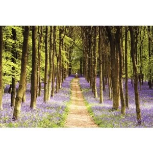Image of Woodland Path Maxi Poster
