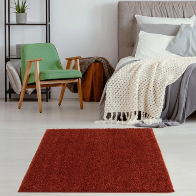 Image of THE RUGS Shaggy Rugs Terracotta Living Room Rug - Soft Fluffy Thick Carpet For Bedrooms & Kitchen Easy To Clean Home Decor Rugs Terracotta Unisex 120