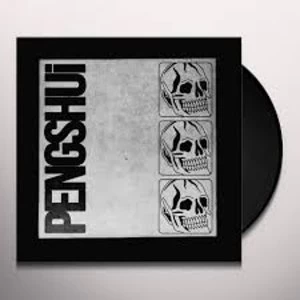 Image of PENGSHUi - PENGSHUi Clear Vinyl