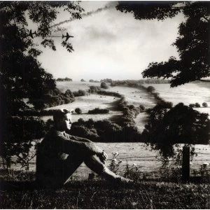 Image of Normil Hawaiians - Whats Going On Vinyl