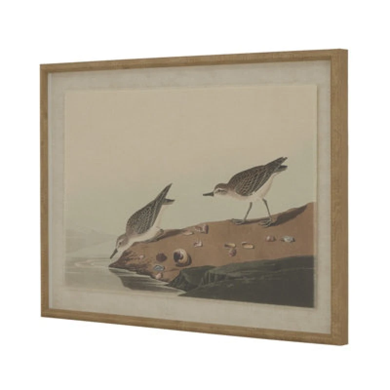 Image of Flora & Fauna Collection Stints On Linen In Beaded Frame