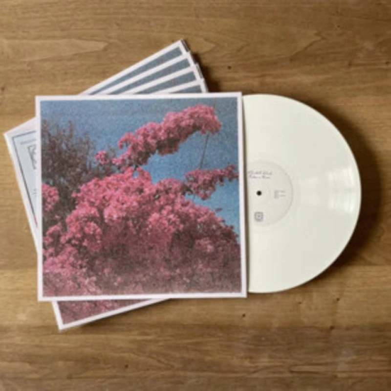 Image of Picture As a Frame Vinyl