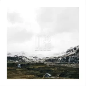 Image of Devil Sold His Soul Loss CD multicolor