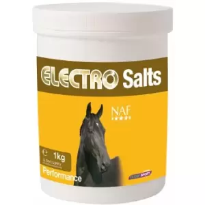 Image of Electro Salts - 1 Kg - E16.1 - NAF