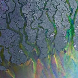Image of Alt-J - An Awesome Wave Vinyl