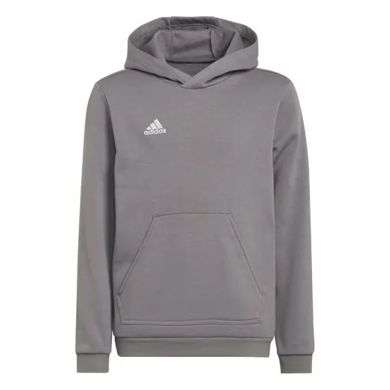 Image of adidas ENT22 Hoodie Juniors - Grey Grey 13 - 14 Years