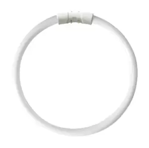 Image of Kosnic 55w CFL T5 Circular Tube 2GX13 Cool White - KFT55STC/4P-840