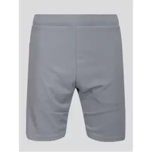 Image of Luke Sport Performance Squatt Shorts - Silver