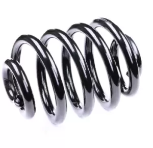 Image of RIDEX Coil spring Rear Axle 188C0003 Suspension spring,Springs VW,Transporter IV Bus (70B, 70C, 7DB, 7DK, 70J, 70K, 7DC, 7DJ)