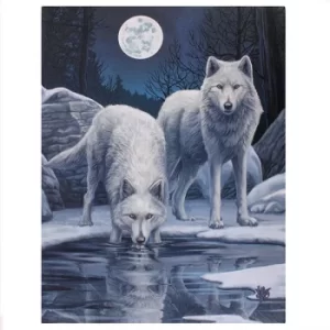 Image of Small Winter Warrior Canvas Picture by Lisa Parker