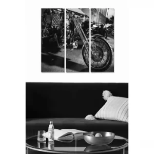 Image of MDF531025444 Multicolor Decorative MDF Painting (3 Pieces)