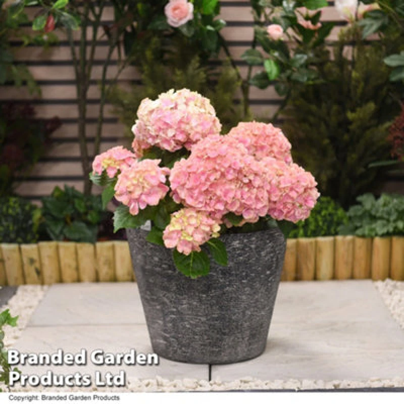 Image of THOMPSON & MORGAN Grey Stone Effect Planter for Garden Outdoors Weatherproof Plastic (x1) KF7517