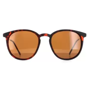 Image of Round Havana Rubbertouch Brown Polarized MP33 Sunglasses